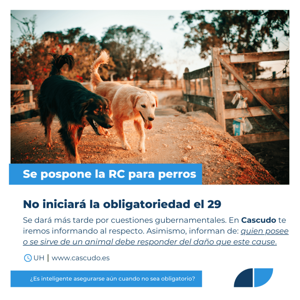 No iniciará la RC para perros