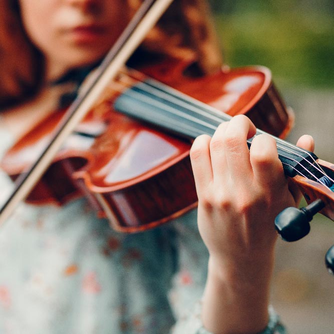 Seguro para instrumentos de música