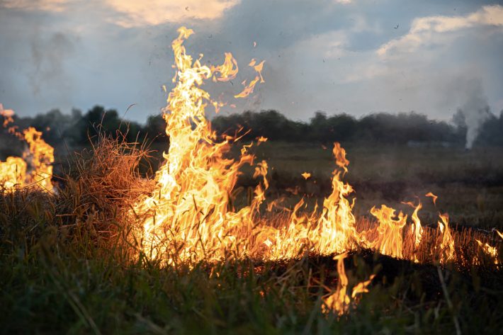 Incendio forestal España